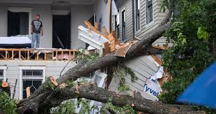 storm and wind damage